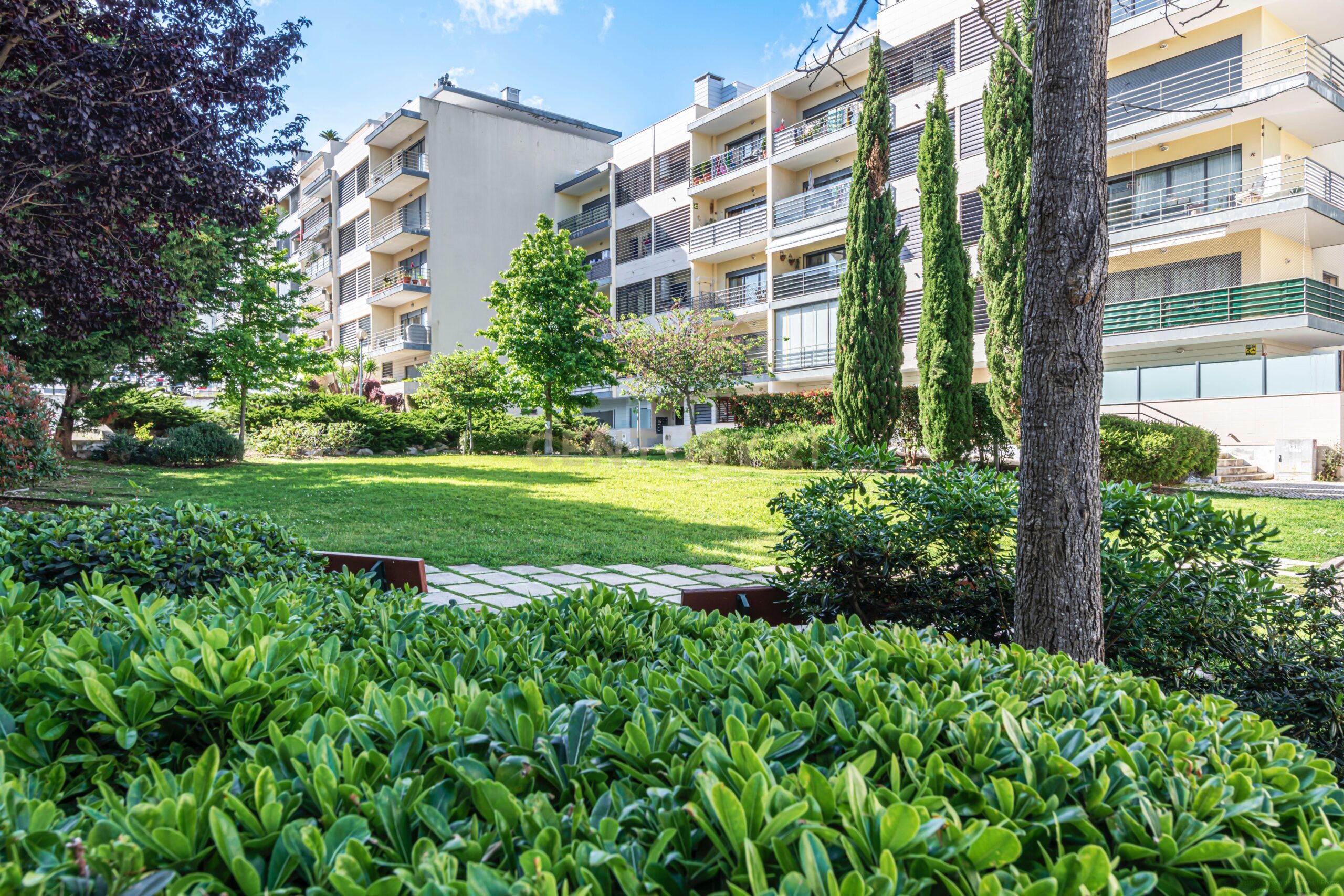 ExteriorSCC3648